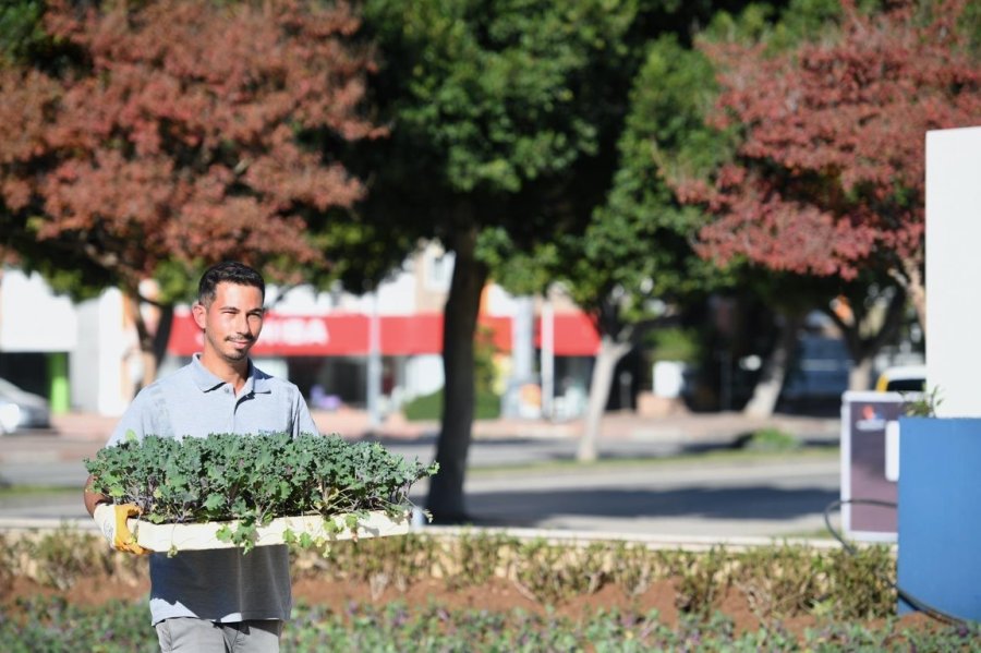 Konyaaltı’nda Mevsimlik Çiçek Ekimi