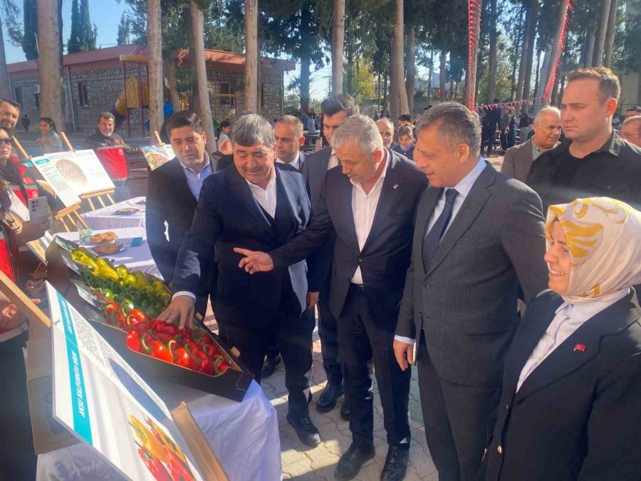 Aksu’da 7 Ürün İçin Coğrafi İşaret Başvurusu