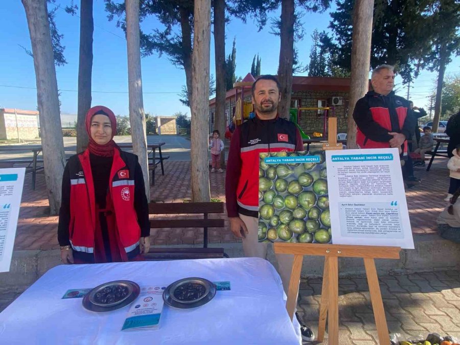 Aksu’da 7 Ürün İçin Coğrafi İşaret Başvurusu