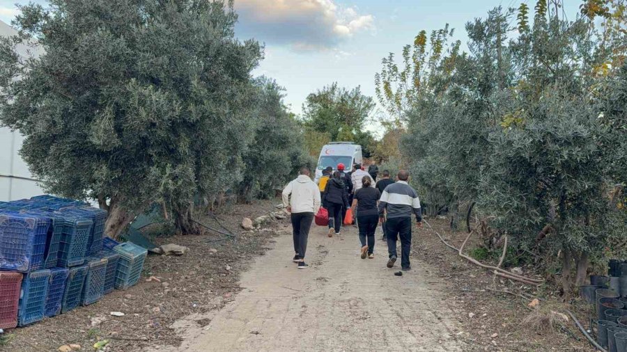 7 Metrelik Duvardan Düşen Çiftçi Yaralandı