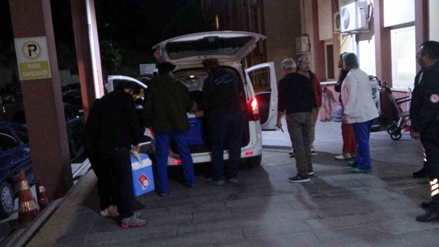 Beyin Ölümü Gerçekleşen Hastanın Karaciğer Ve İki Böbreği Bağışlandı