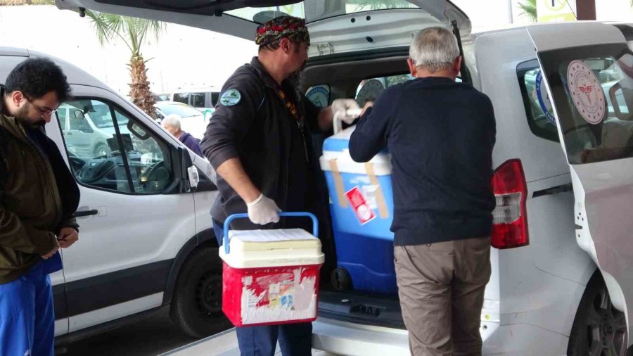 Beyin Ölümü Gerçekleşen Hastanın Karaciğer Ve İki Böbreği Bağışlandı