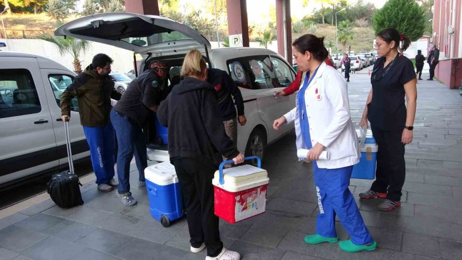 Beyin Ölümü Gerçekleşen Hastanın Karaciğer Ve İki Böbreği Bağışlandı