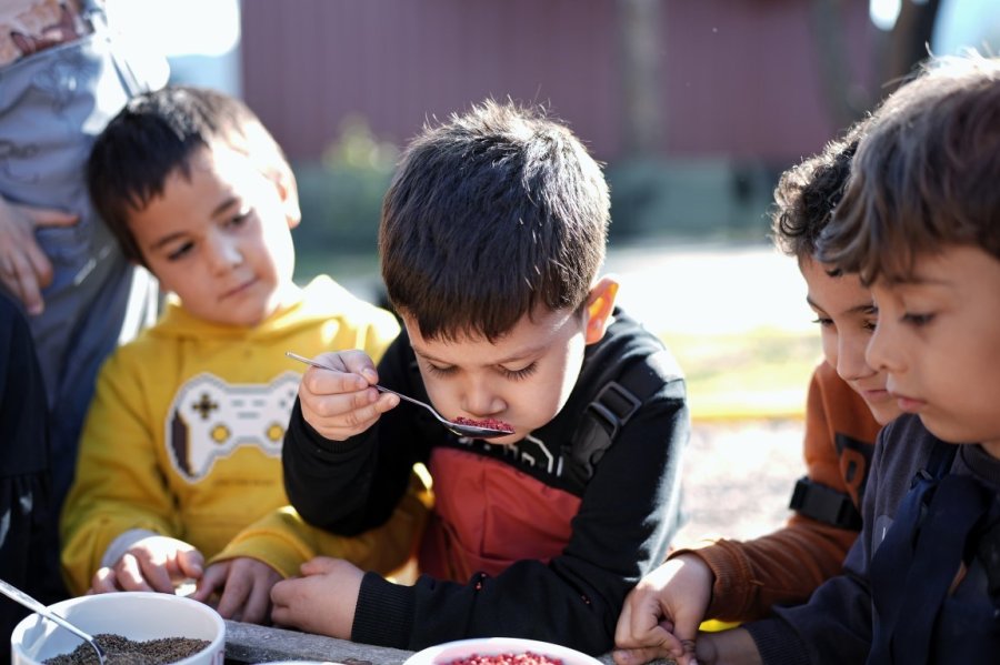 Minik Eller Tohumları Toprakla Buluşturdu
