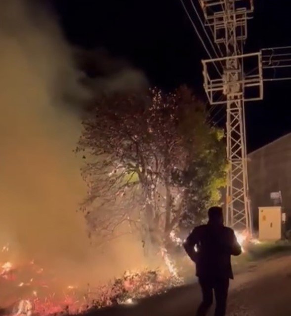 Mersin’de Sazlık Alandaki Yangın Söndürüldü: Bir Sera Zarar Gördü