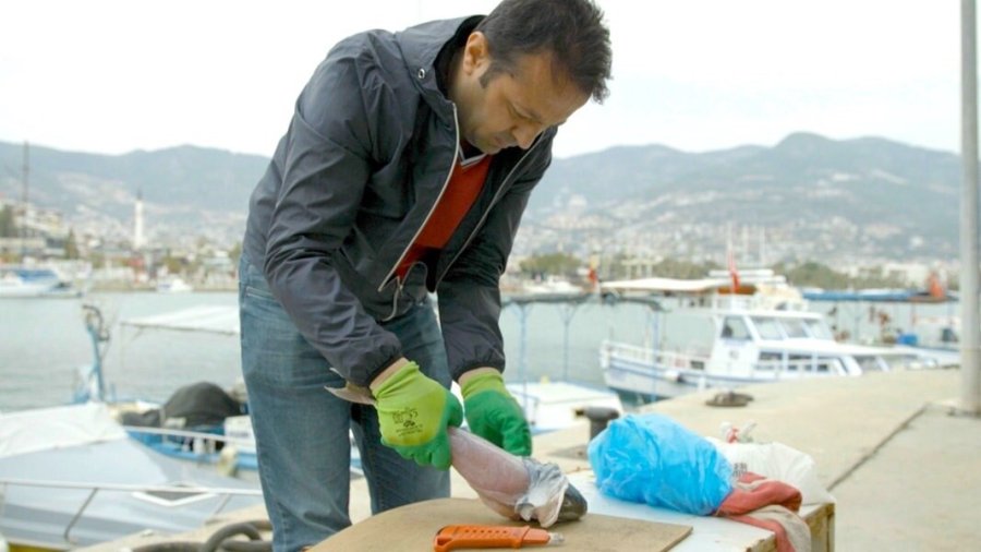 İzinsiz Kullanılan Balon Balığı Projesi Mahkemelik Oldu