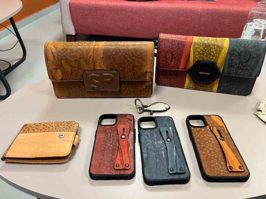 İzinsiz Kullanılan Balon Balığı Projesi Mahkemelik Oldu