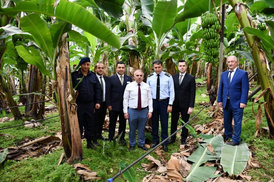 Anamur Ceza İnfaz Kurumlarında Üretim, Rehabilitasyon Ve Sosyal Yaşam Yerinde İncelendi