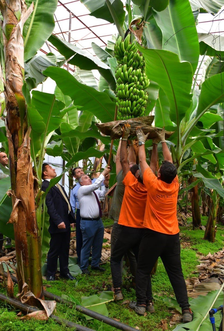 Anamur Ceza İnfaz Kurumlarında Üretim, Rehabilitasyon Ve Sosyal Yaşam Yerinde İncelendi