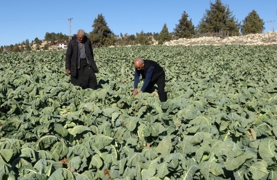 Çamurlu Ayakkabısını Çıkarıp Markette Alışveriş Yapmıştı: "yine Olsa Yine Yaparım"