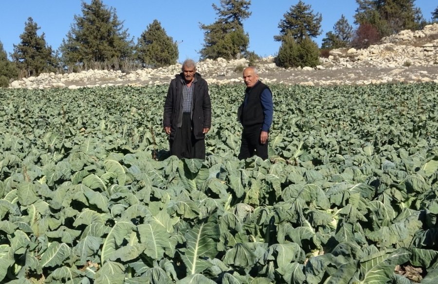 Çamurlu Ayakkabısını Çıkarıp Markette Alışveriş Yapmıştı: "yine Olsa Yine Yaparım"