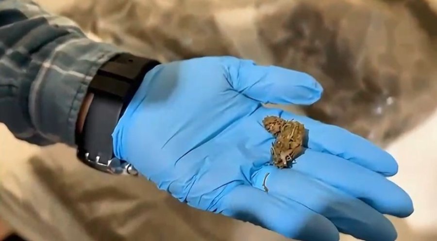 Antalya’da Narkotik Operasyonunda Yüklü Miktarda Uyuşturucu Ele Geçirildi: 4 Tutuklama