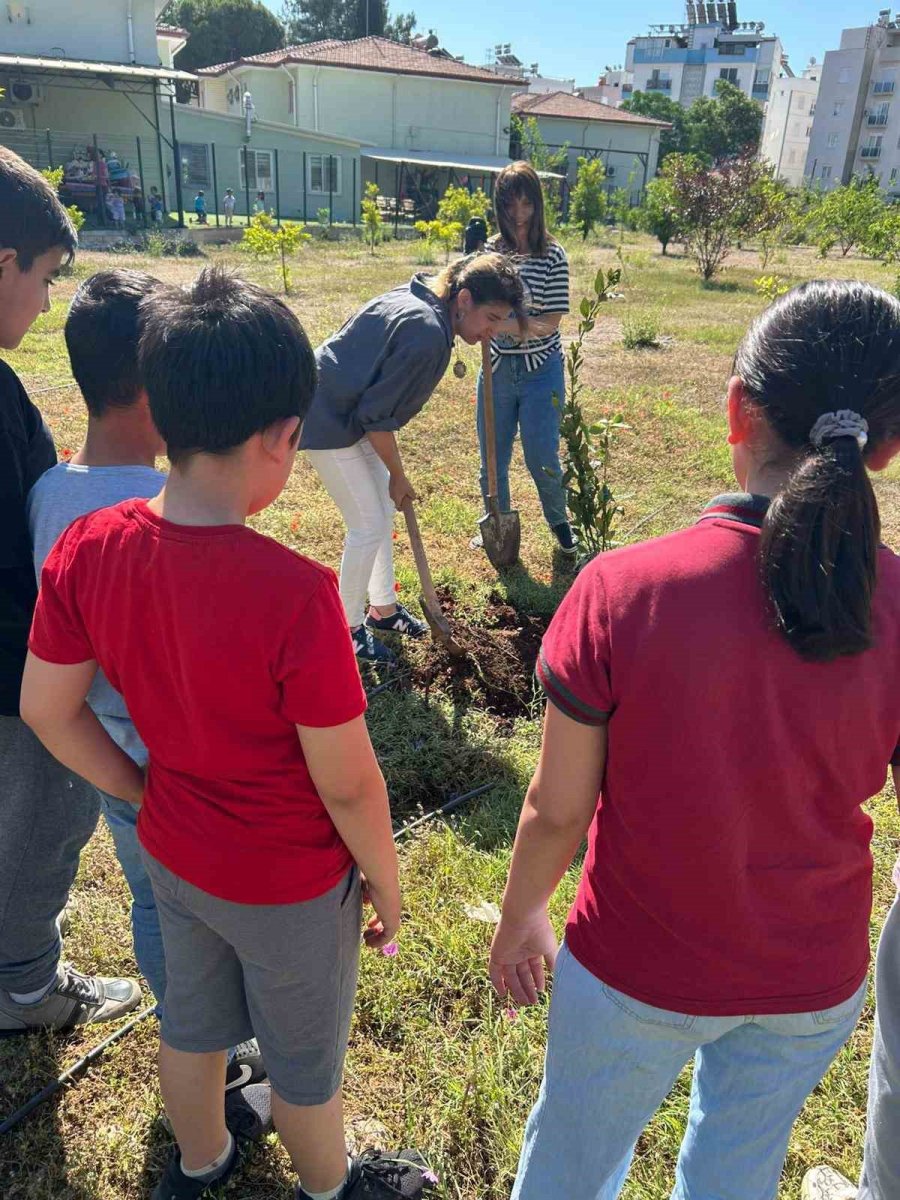 Aysel Öğretmen, Köy Okullarında Başladığı Mesleğinde, Eğitim Dünyasının Nobel’ine Aday Oldu