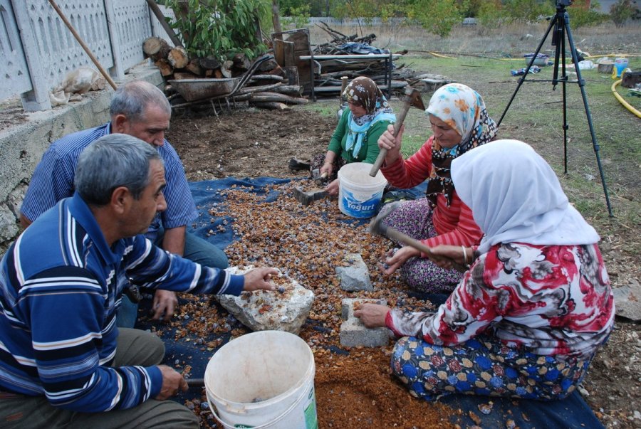 Topladıkları Kozalakları Kızgın Ateşte Saatlerce Kaynatarak Şifa Deposuna Dönüştürüyorlar