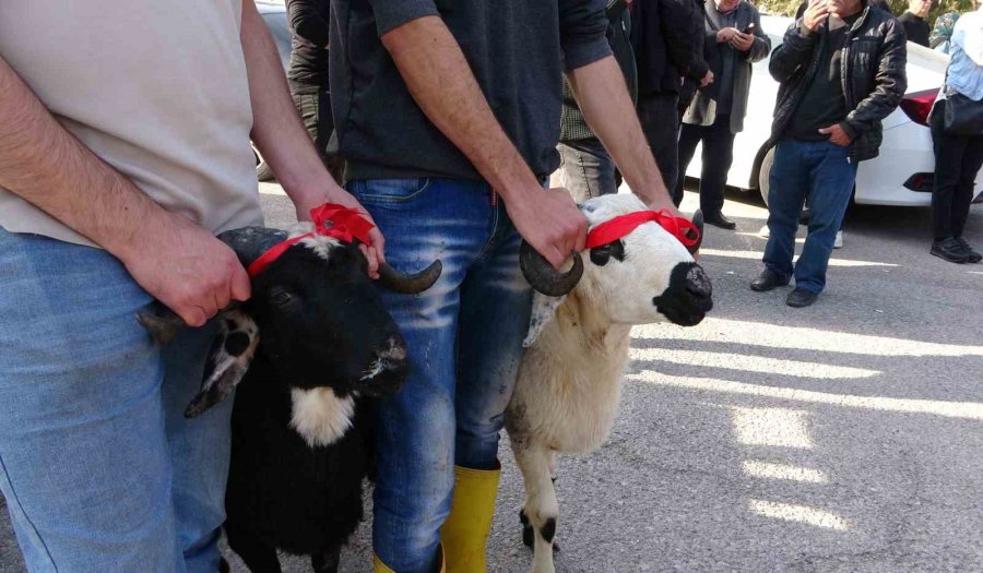 Chp’den İstifa Eden Çakır Memleketi Mersin’de Coşkuyla Karşılandı