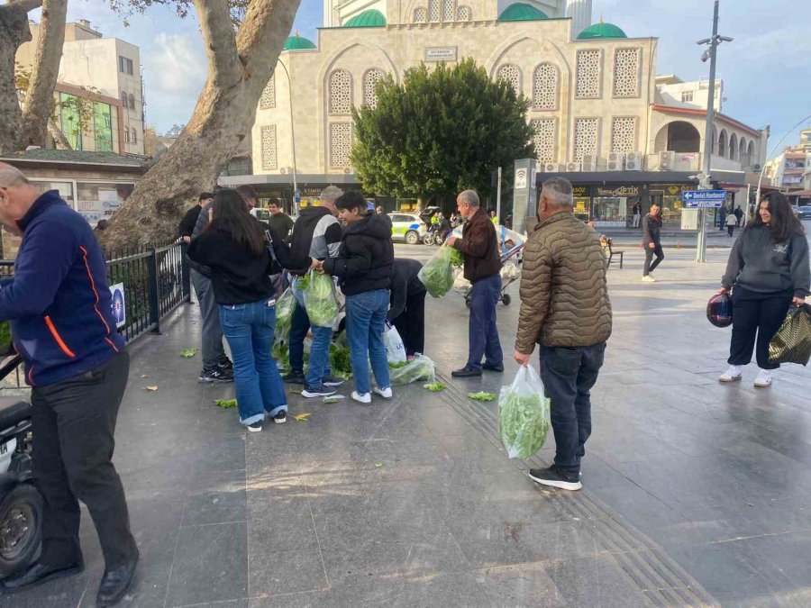 Antalyalı Çiftçi Ürünlerin Çöpe Dökülmesine Tepki Olarak 200 Marulu Ücretsiz Dağıttı