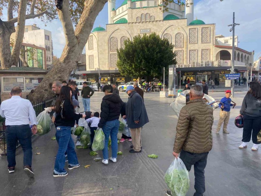 Antalyalı Çiftçi Ürünlerin Çöpe Dökülmesine Tepki Olarak 200 Marulu Ücretsiz Dağıttı