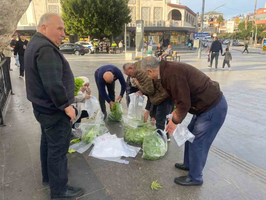 Antalyalı Çiftçi Ürünlerin Çöpe Dökülmesine Tepki Olarak 200 Marulu Ücretsiz Dağıttı