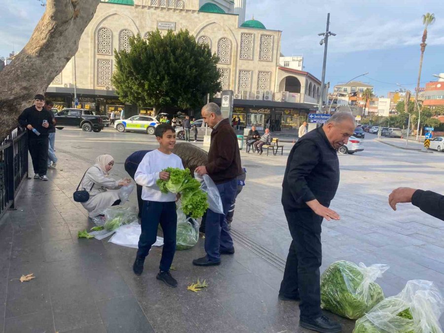 Antalyalı Çiftçi Ürünlerin Çöpe Dökülmesine Tepki Olarak 200 Marulu Ücretsiz Dağıttı