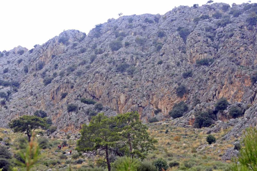 Dağın Zirvesinde Mahsur Kalıp Çığlığını 4 Gün Sonra Duyurabilen Genç: "devletimden Allah Razı Olsun, Gelmeseler Ölecektim"