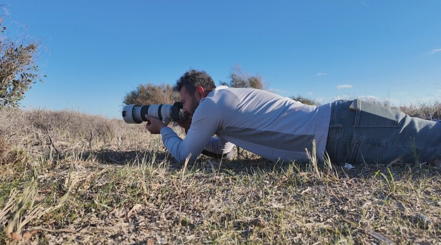 Nesli Tehlikedeki ’saz Horozu’ Göksu Deltası’nda Görüntülendi