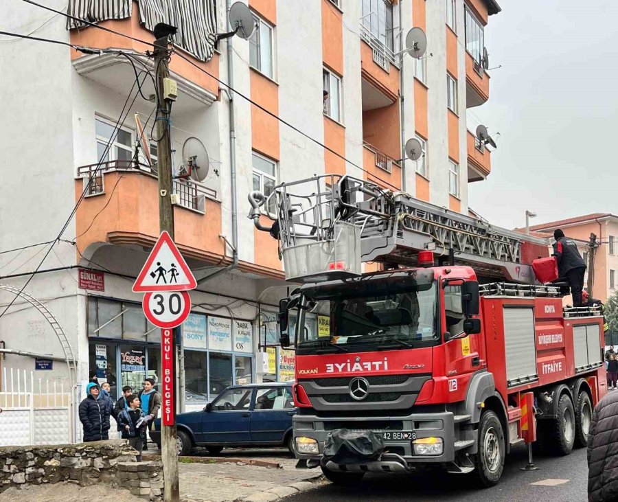 Beyşehir’de İtfaiye Merdiveni Bu Kez Direğin Tepesindeki Kedi İçin Uzatıldı