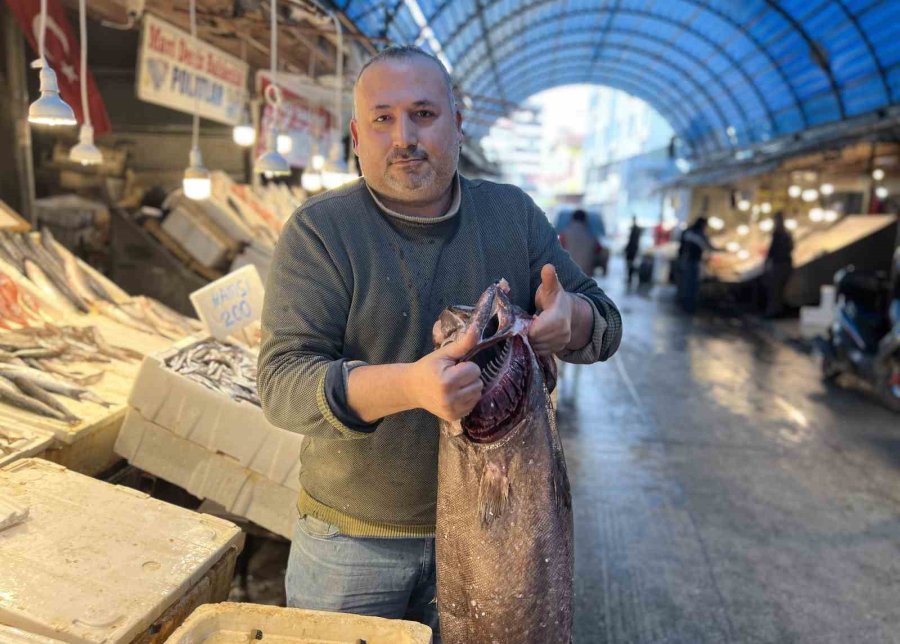 Akdeniz’de 1,5 Metrelik Atlas Balığı Yakalandı