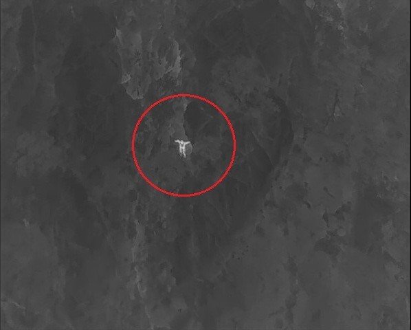 Dağın Zirvesinde Mahsur Kalıp Çığlığını 4 Gün Sonra Duyurabilen Genç: "devletimden Allah Razı Olsun, Gelmeseler Ölecektim"