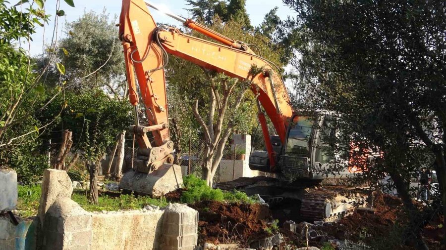 Toroslar Belediyesi Zeytin Ağaçlarını Kesti, Vatandaş Tepki Gösterdi