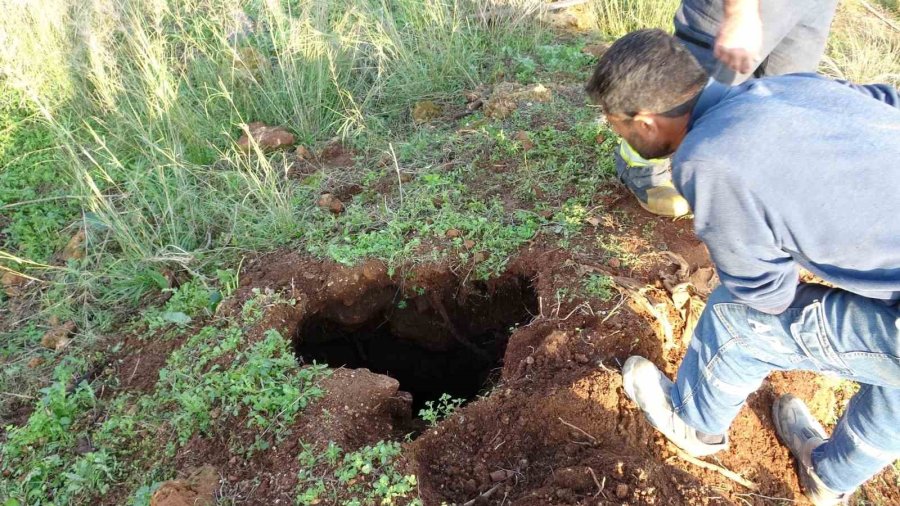 Seslerini Küçük Çocuk Duydu, Çalındı Sanılan 2 Koyun Düştükleri 5 Metrelik Kuyudan Kurtarıldı