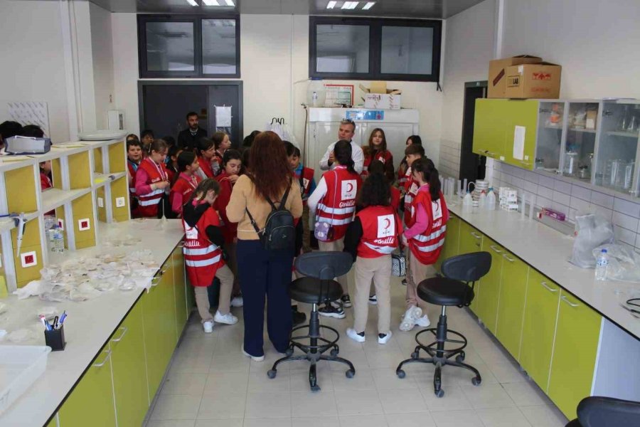 Nöhü’den Geleceğe Yatırım: ’çocuk Üniversitesi’ Projesi