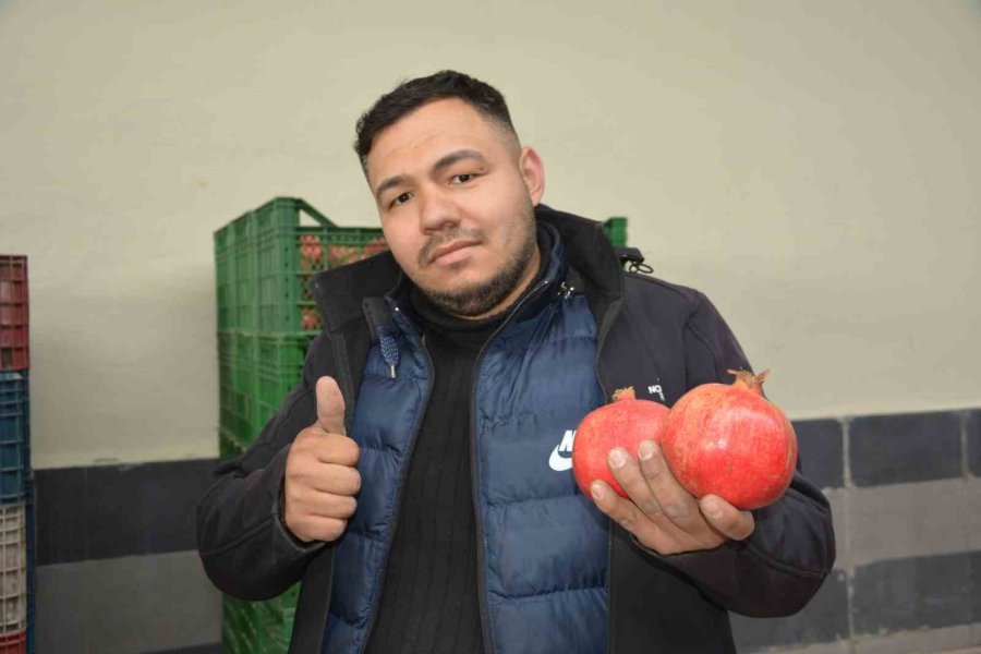 Korkuteli’nden Nar İhracatı Başladı