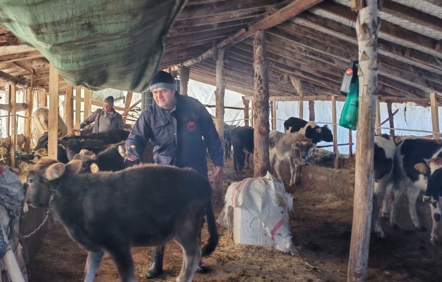 Beyşehir’de Hayvancılık Faaliyetleri Yakın Takipte