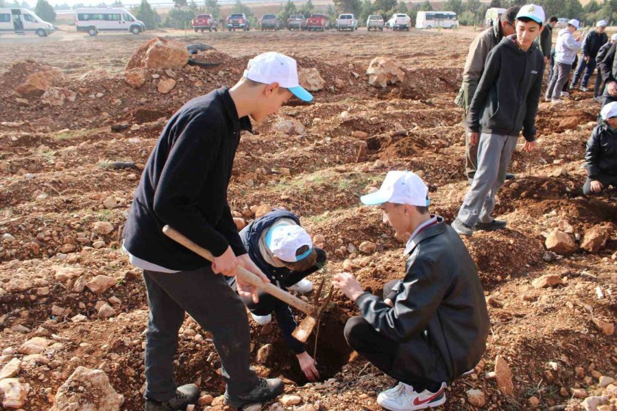 Korkuteli’nde 3 Bin Fidan Toprakla Buluştu