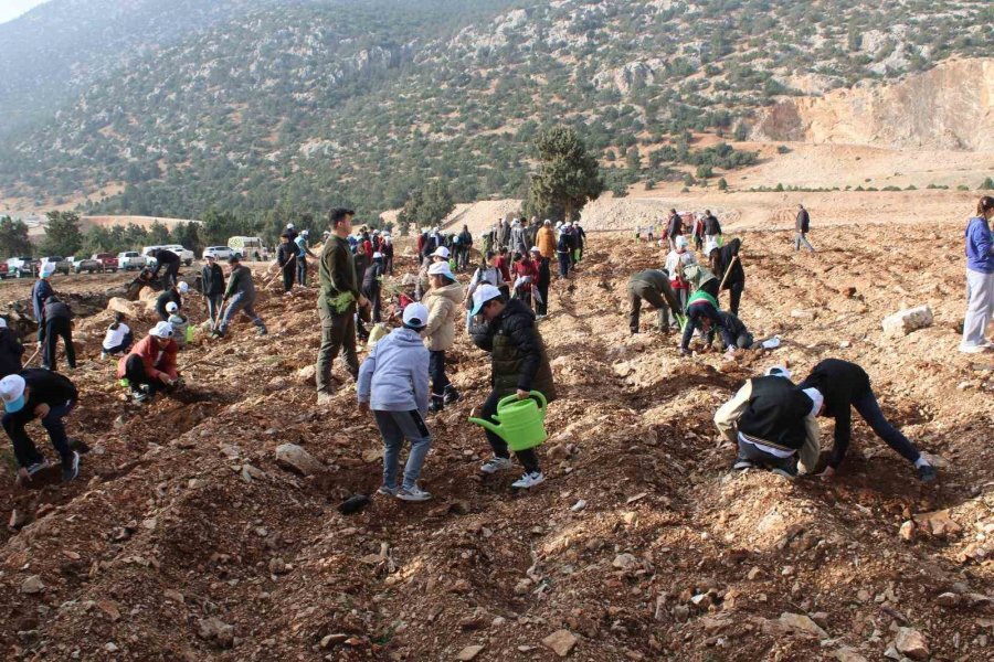 Korkuteli’nde 3 Bin Fidan Toprakla Buluştu