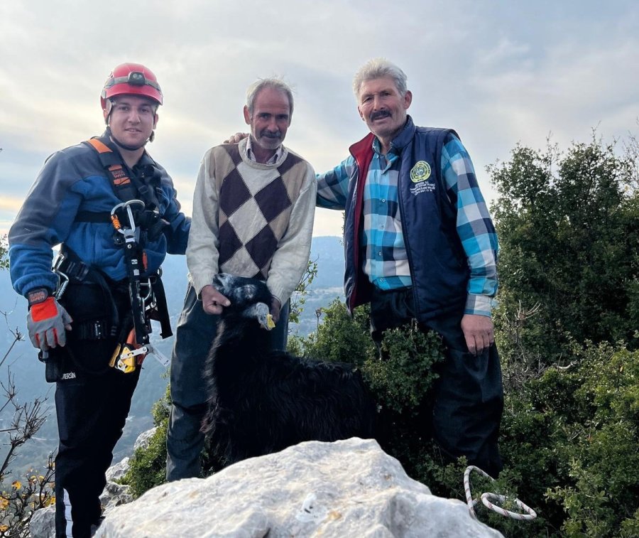 Mersin’de Kayalıklarda Mahsur Kalan 2 Keçi İtfaiye Ekiplerince Kurtarıldı