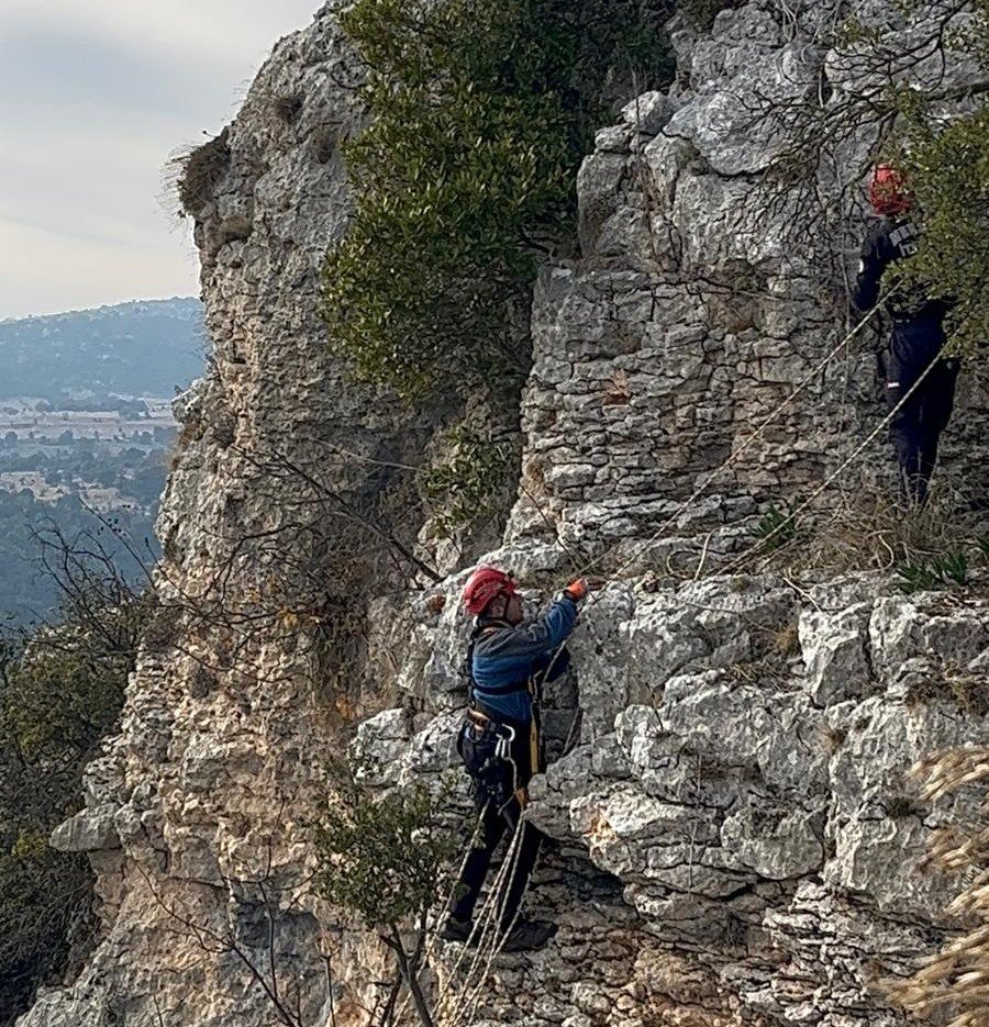 Mersin’de Kayalıklarda Mahsur Kalan 2 Keçi İtfaiye Ekiplerince Kurtarıldı