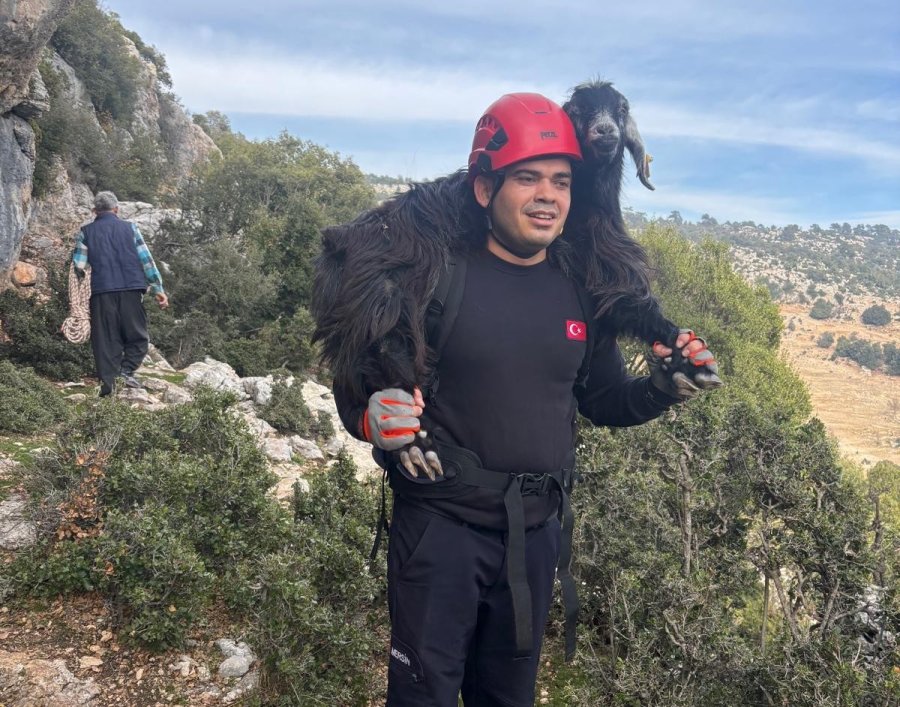 Mersin’de Kayalıklarda Mahsur Kalan 2 Keçi İtfaiye Ekiplerince Kurtarıldı