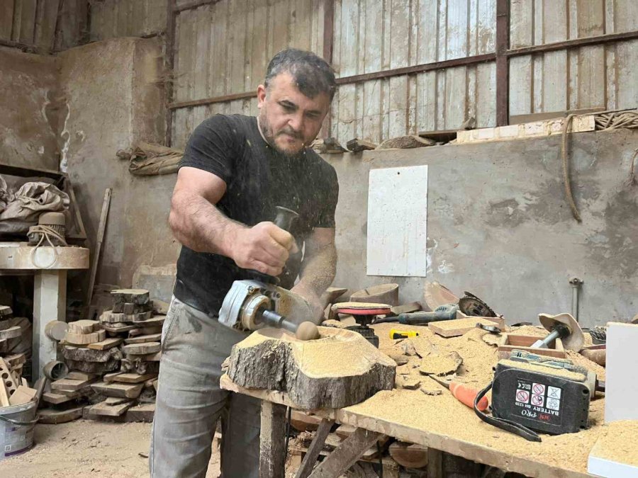 Çürümüş Zeytin Ağaçlarını Sanat Eserine Dönüştürüyor