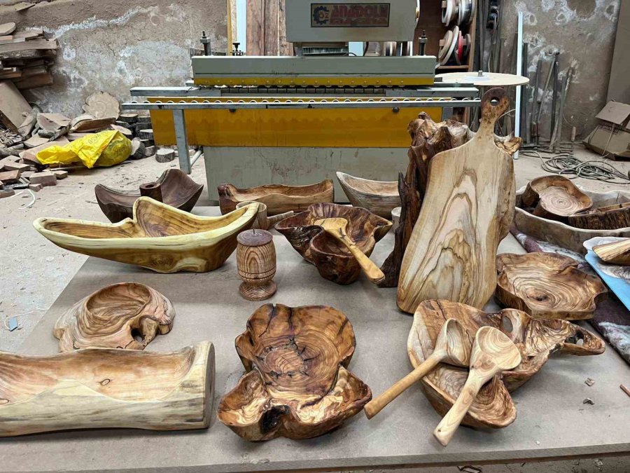 Çürümüş Zeytin Ağaçlarını Sanat Eserine Dönüştürüyor