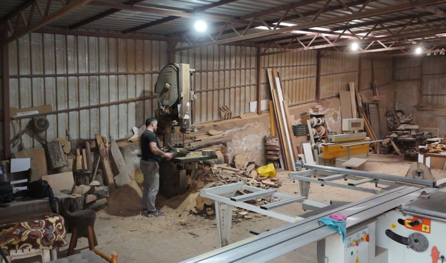 Çürümüş Zeytin Ağaçlarını Sanat Eserine Dönüştürüyor