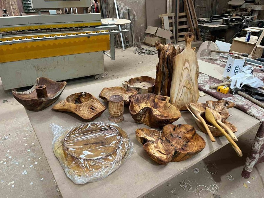 Çürümüş Zeytin Ağaçlarını Sanat Eserine Dönüştürüyor