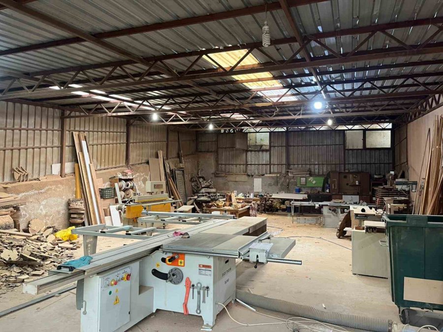 Çürümüş Zeytin Ağaçlarını Sanat Eserine Dönüştürüyor