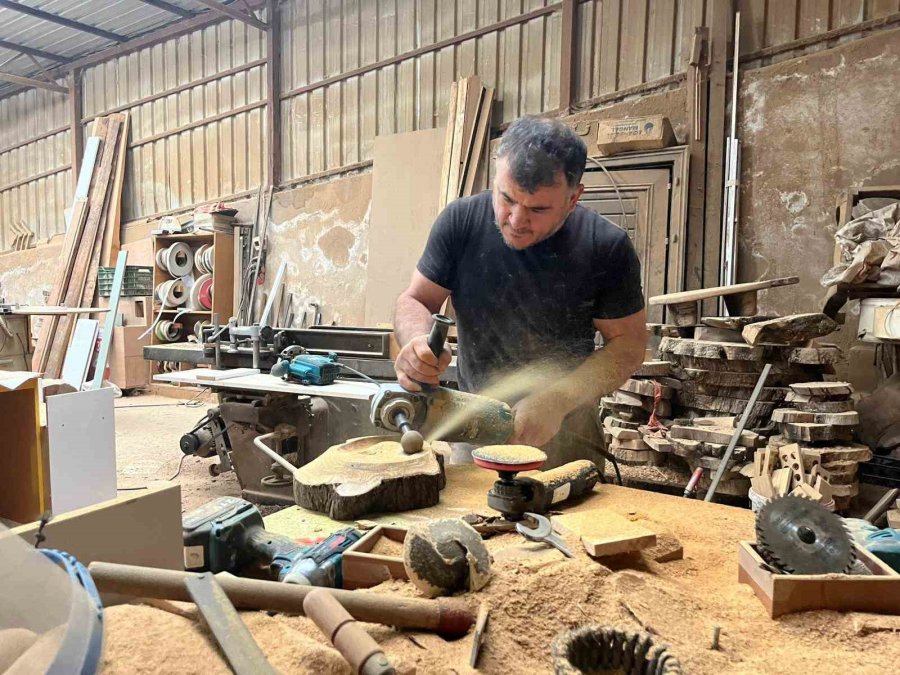 Çürümüş Zeytin Ağaçlarını Sanat Eserine Dönüştürüyor