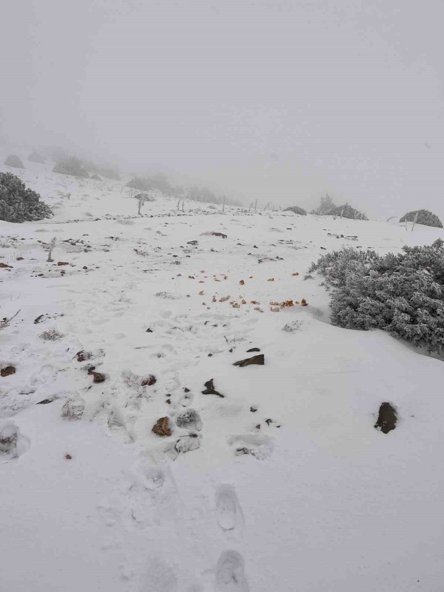 Halkapınar’da Kar Yağışı Etkili Oluyor