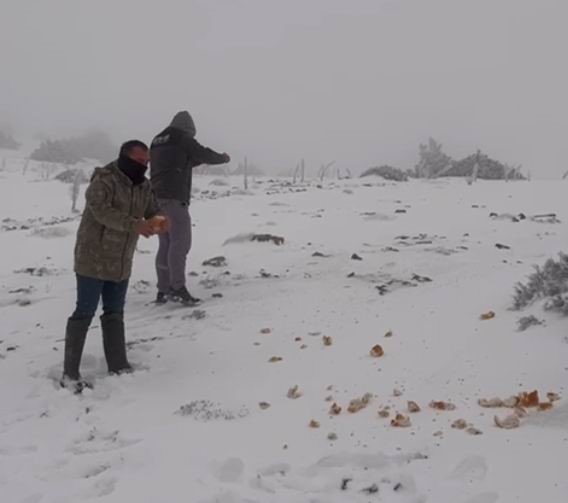 Halkapınar’da Kar Yağışı Etkili Oluyor