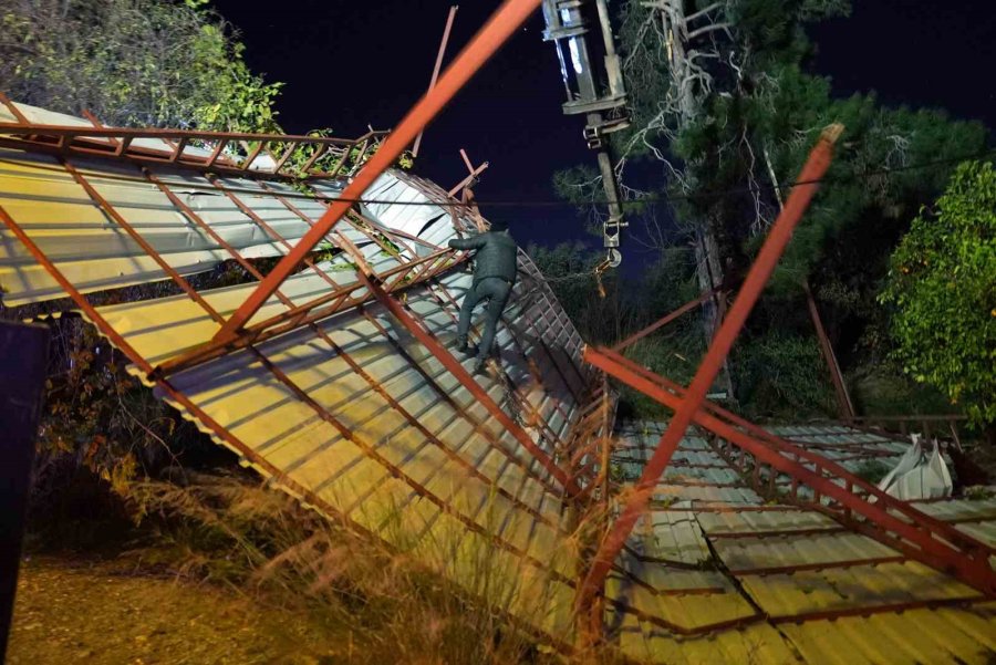 Mersin’de Şiddetli Rüzgar Çatıyı Uçurdu, Asırlık Meşeyi Devirdi