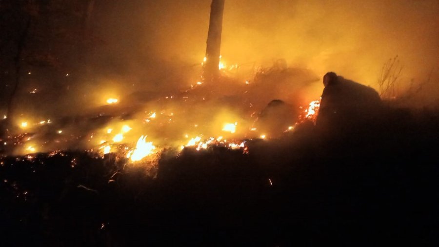 Bozyazı’da Çıkan Orman Yangını Kontrol Altına Alındı