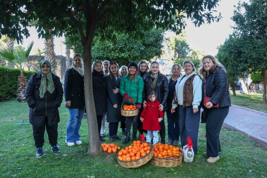 Antalya’nın Turunçları Korkuteli’nden Sofralara Uzanıyor