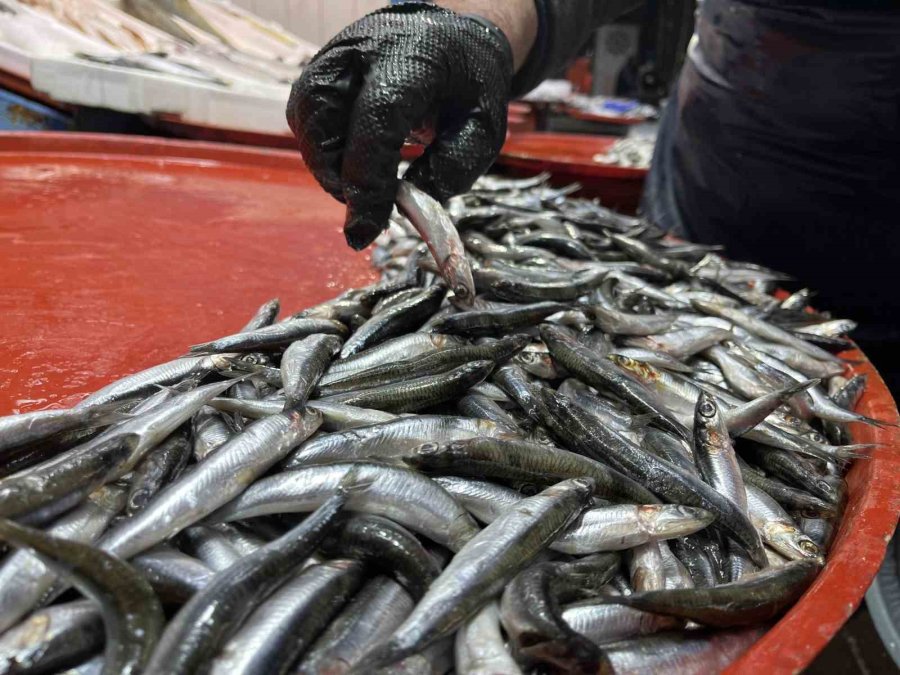 Geciken Kış Konya’da Balığı Da Vurdu